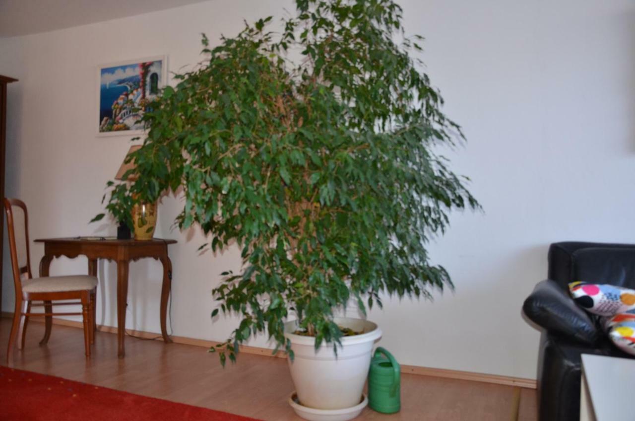 Ferienwohnung Pascale メトラッハ エクステリア 写真